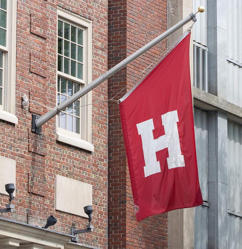 Shutterstock 2313766973 1