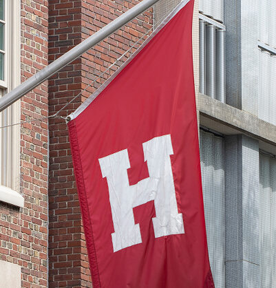 Shutterstock 2313766973 1